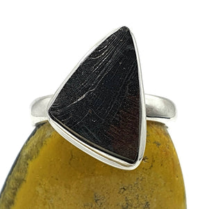 Shungite Ring, Size 8.75, Sterling Silver, Triangle Shaped, Black Lustrous Gem - GemzAustralia 