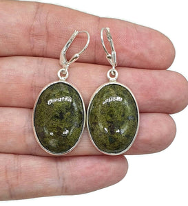 Large Mojave Stichtite Earrings, Sterling Silver, Oval - GemzAustralia 