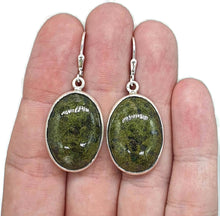 Load image into Gallery viewer, Large Mojave Stichtite Earrings, Sterling Silver, Oval - GemzAustralia 