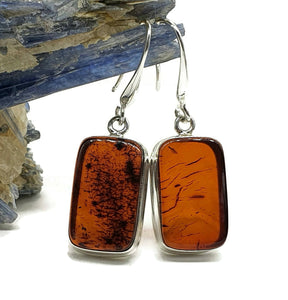 Baltic Amber Rectangle Earrings, Sterling Silver, Fossilized - GemzAustralia 