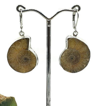 Load image into Gallery viewer, Ammonite Earrings, Sterling Silver, Fossilized - GemzAustralia 