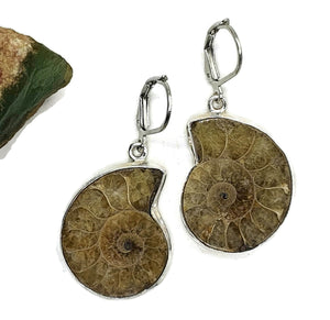 Ammonite Earrings, Sterling Silver, Fossilized - GemzAustralia 