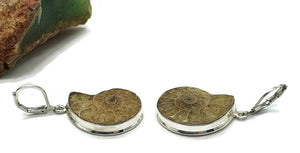 Ammonite Earrings, Sterling Silver, Fossilized - GemzAustralia 