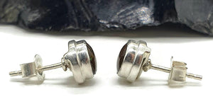 Ammolite Studs, Sterling Silver, Round Shaped, Fossilized Shells - GemzAustralia 