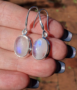 Rainbow Moonstone Earrings, Oval Shaped, Sterling Silver - GemzAustralia 