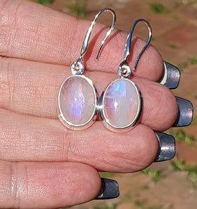 Rainbow Moonstone Earrings, Oval Shaped, Sterling Silver - GemzAustralia 