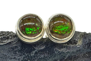 Ammolite Studs, Sterling Silver, Round Shaped, Fossilized Shells - GemzAustralia 