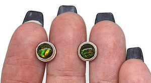 Ammolite Studs, Sterling Silver, Round Shaped, Fossilized Shells - GemzAustralia 