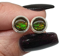 Load image into Gallery viewer, Ammolite Studs, Sterling Silver, Round Shaped, Fossilized Shells - GemzAustralia 