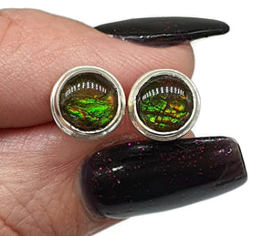 Ammolite Studs, Sterling Silver, Round Shaped, Fossilized Shells - GemzAustralia 