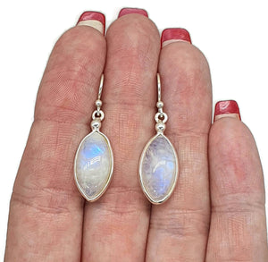 Blue Sheen Rainbow Moonstone Earrings, Marquise Shaped - GemzAustralia 