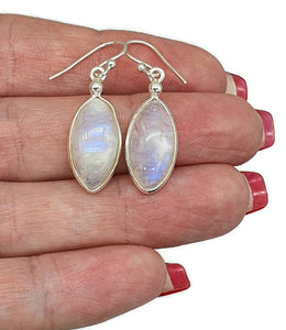 Blue Sheen Rainbow Moonstone Earrings, Marquise Shaped - GemzAustralia 