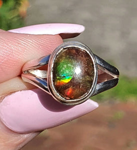 Ammolite Ring, Size 6.5, Sterling Silver, Oval Shaped, Fossilized Ammonite - GemzAustralia 