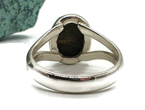 Ammolite Ring, Size 6.5, Sterling Silver, Oval Shaped, Fossilized Ammonite - GemzAustralia 