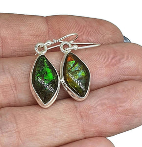 Ammolite Earrings, Sterling Silver, Marquise Shaped, Blue, Green, Gold & Red Ammolite - GemzAustralia 