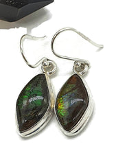 Load image into Gallery viewer, Ammolite Earrings, Sterling Silver, Marquise Shaped, Blue, Green, Gold &amp; Red Ammolite - GemzAustralia 