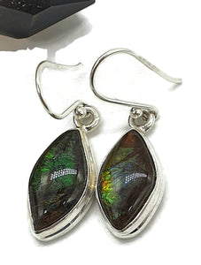 Ammolite Earrings, Sterling Silver, Marquise Shaped, Blue, Green, Gold & Red Ammolite - GemzAustralia 