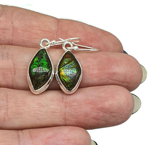 Ammolite Earrings, Sterling Silver, Marquise Shaped, Blue, Green, Gold & Red Ammolite - GemzAustralia 