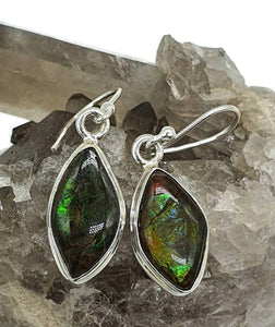 Ammolite Earrings, Sterling Silver, Marquise Shaped, Blue, Green, Gold & Red Ammolite - GemzAustralia 