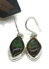 Load image into Gallery viewer, Ammolite Earrings, Sterling Silver, Marquise Shaped, Blue, Green, Gold &amp; Red Ammolite - GemzAustralia 