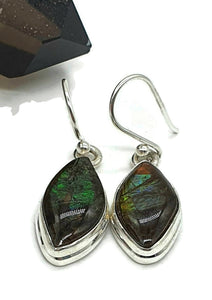 Ammolite Earrings, Sterling Silver, Marquise Shaped, Blue, Green, Gold & Red Ammolite - GemzAustralia 