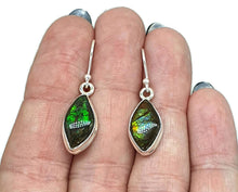 Load image into Gallery viewer, Ammolite Earrings, Sterling Silver, Marquise Shaped, Blue, Green, Gold &amp; Red Ammolite - GemzAustralia 