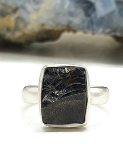 Shungite Ring, Size 7, Sterling Silver, Rectangle Shaped, Black Lustrous Gemstone - GemzAustralia 