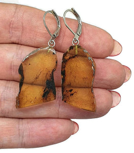 Raw Edge Amber Earrings, Mexican Chiapas Amber, Sterling Silver, 30 million years - GemzAustralia 