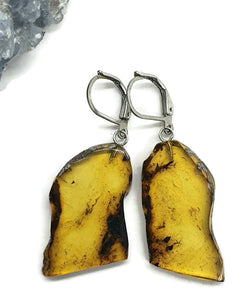 Raw Edge Amber Earrings, Mexican Chiapas Amber, Sterling Silver, 30 million years - GemzAustralia 