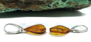 Baltic Amber Earrings, Pear Shaped, 50 million years old, Sterling Silver, Fossilized - GemzAustralia 