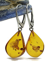 Load image into Gallery viewer, Baltic Amber Earrings, Pear Shaped, 50 million years old, Sterling Silver, Fossilized - GemzAustralia 