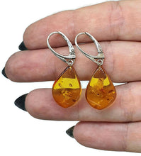 Load image into Gallery viewer, Baltic Amber Earrings, Pear Shaped, 50 million years old, Sterling Silver, Fossilized - GemzAustralia 