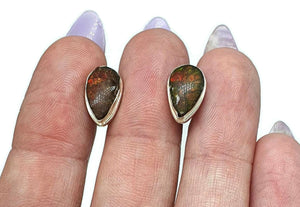 Ammolite Stud Earrings, Sterling Silver, Pear Shaped, Fossilized Shells of Ammonites - GemzAustralia 