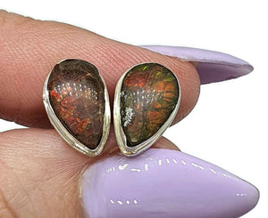 Ammolite Stud Earrings, Sterling Silver, Pear Shaped, Fossilized Shells of Ammonites - GemzAustralia 