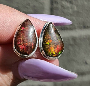 Ammolite Stud Earrings, Sterling Silver, Pear Shaped, Fossilized Shells of Ammonites - GemzAustralia 