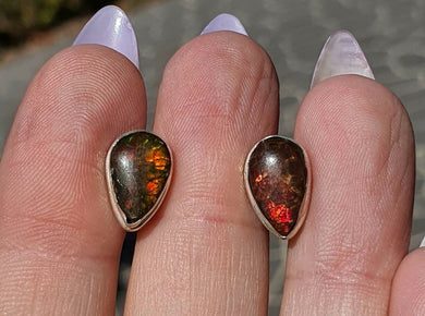 Ammolite Stud Earrings, Sterling Silver, Pear Shaped, Fossilized Shells of Ammonites - GemzAustralia 