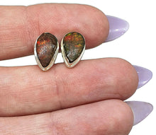 Load image into Gallery viewer, Ammolite Stud Earrings, Sterling Silver, Pear Shaped, Fossilized Shells of Ammonites - GemzAustralia 